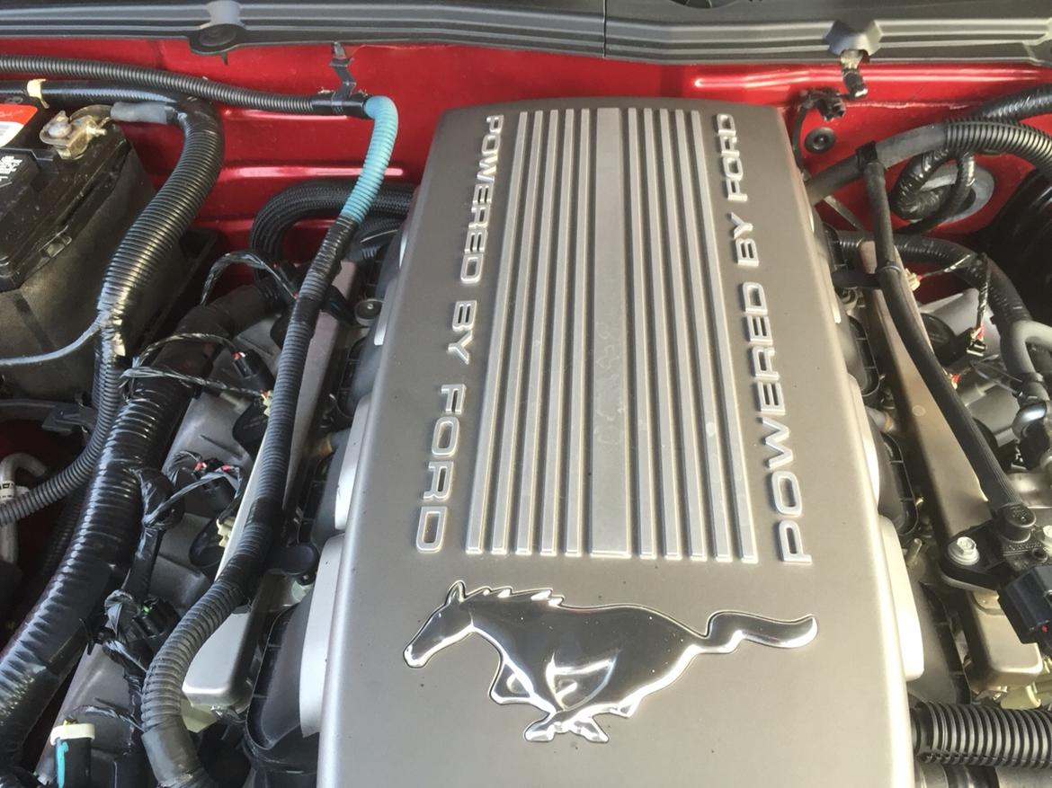 Ford Mustang GT/CS cabriolet billede 8