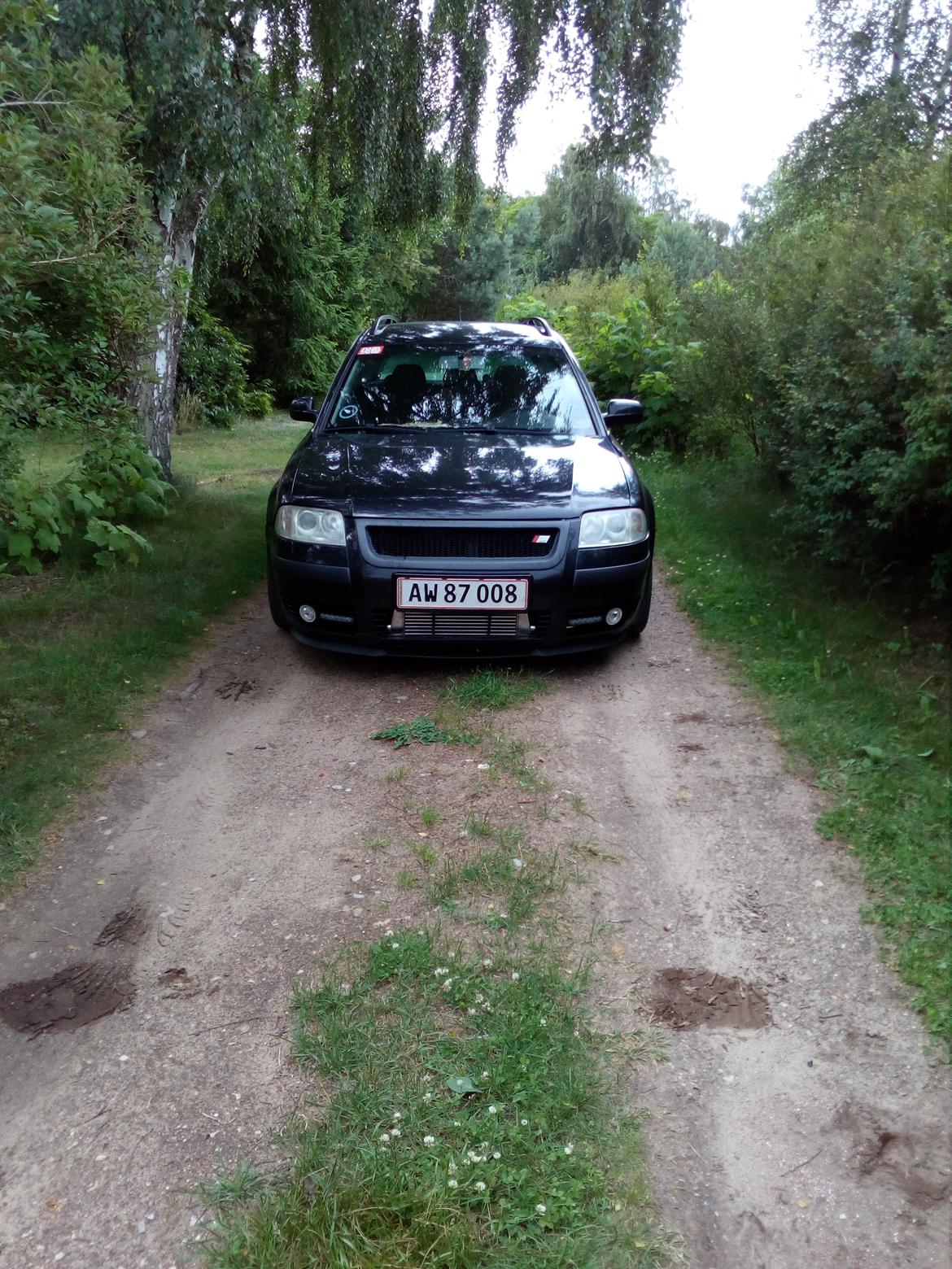 VW passat 3bg billede 4