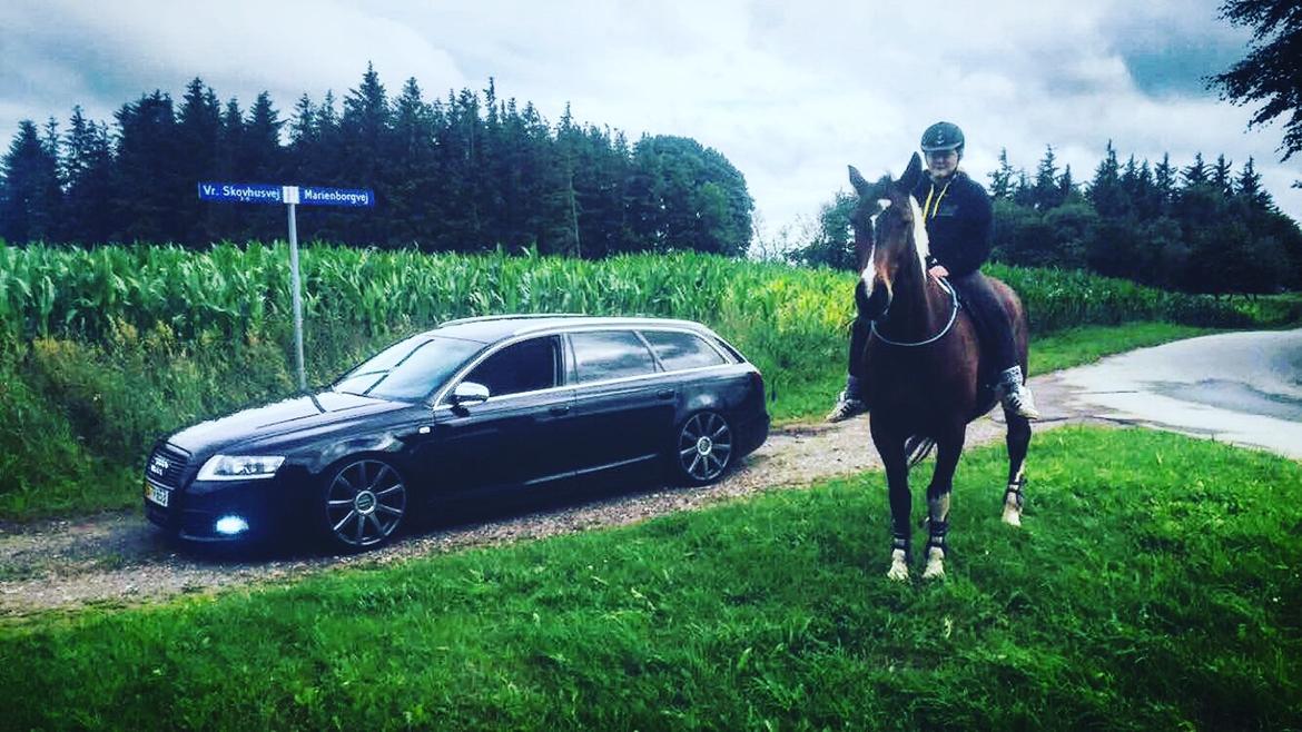 Audi A6 2,7 TDI billede 15