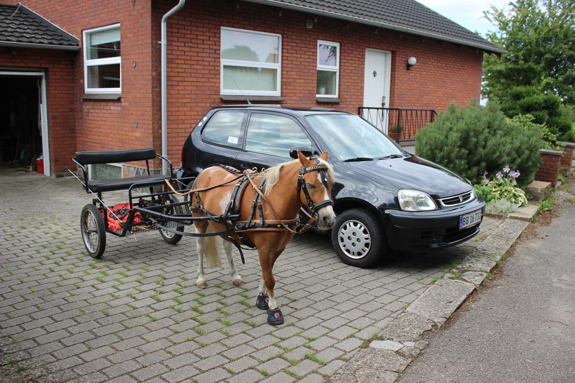 Honda Logo GA3 *Bibi* - 1 ÆGTE HK VS. 65 FAKE HK ;) billede 3