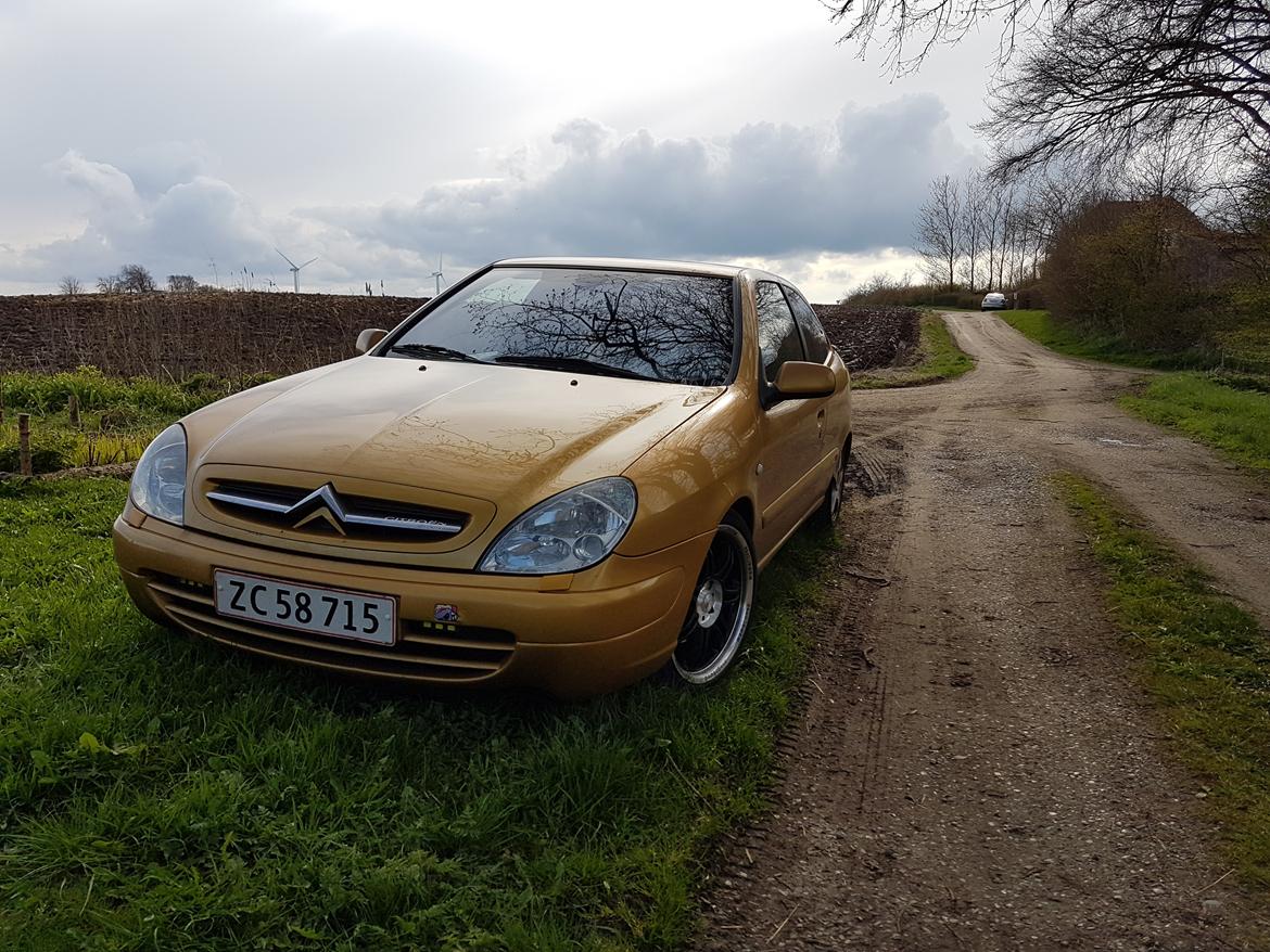 Citroën xsara vts billede 1