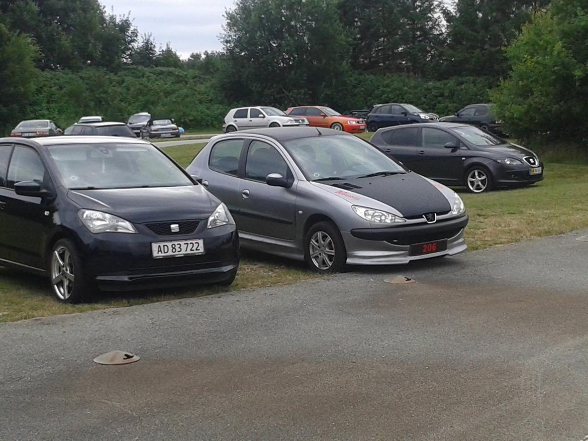 Peugeot 206 xr hdi RIP billede 1