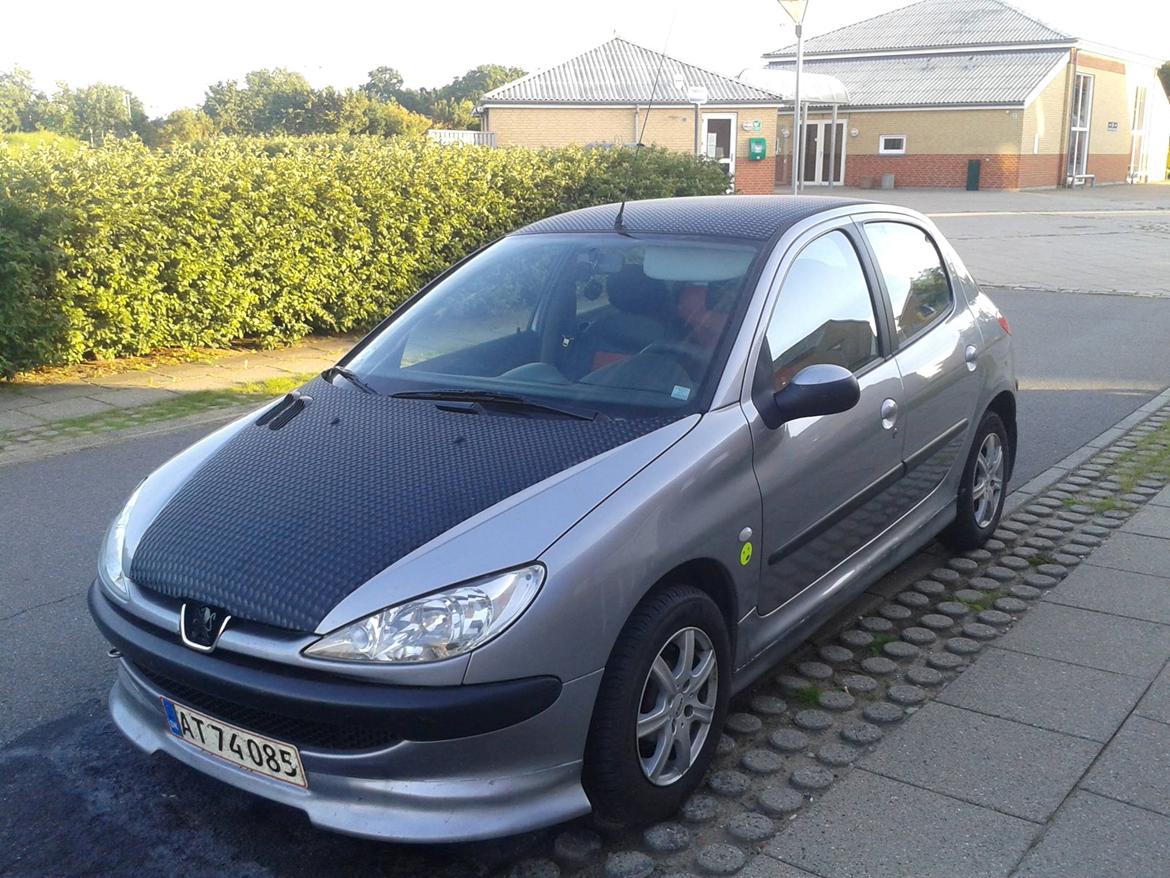 Peugeot 206 xr hdi RIP billede 2