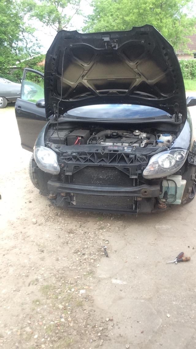 Seat Altea  billede 13