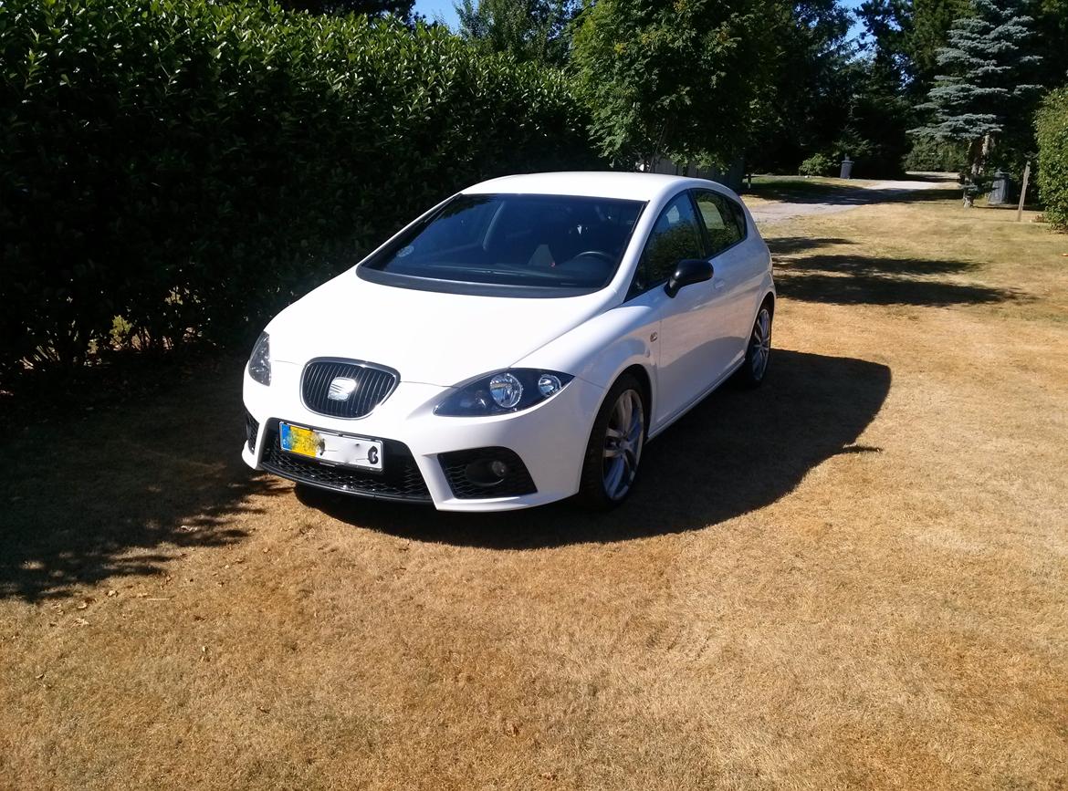 Seat Leon Cupra billede 1