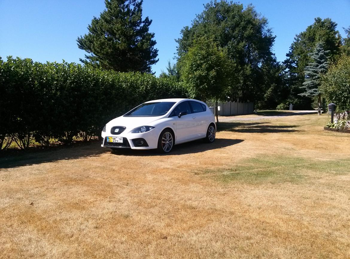 Seat Leon Cupra billede 2