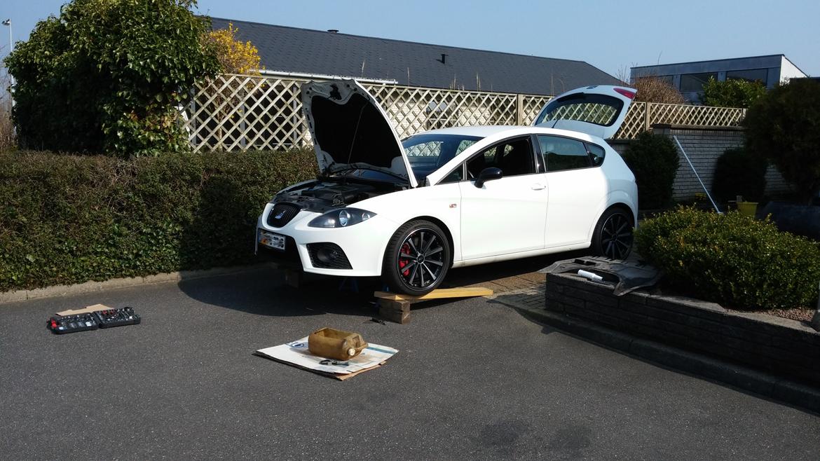 Seat Leon Cupra billede 9