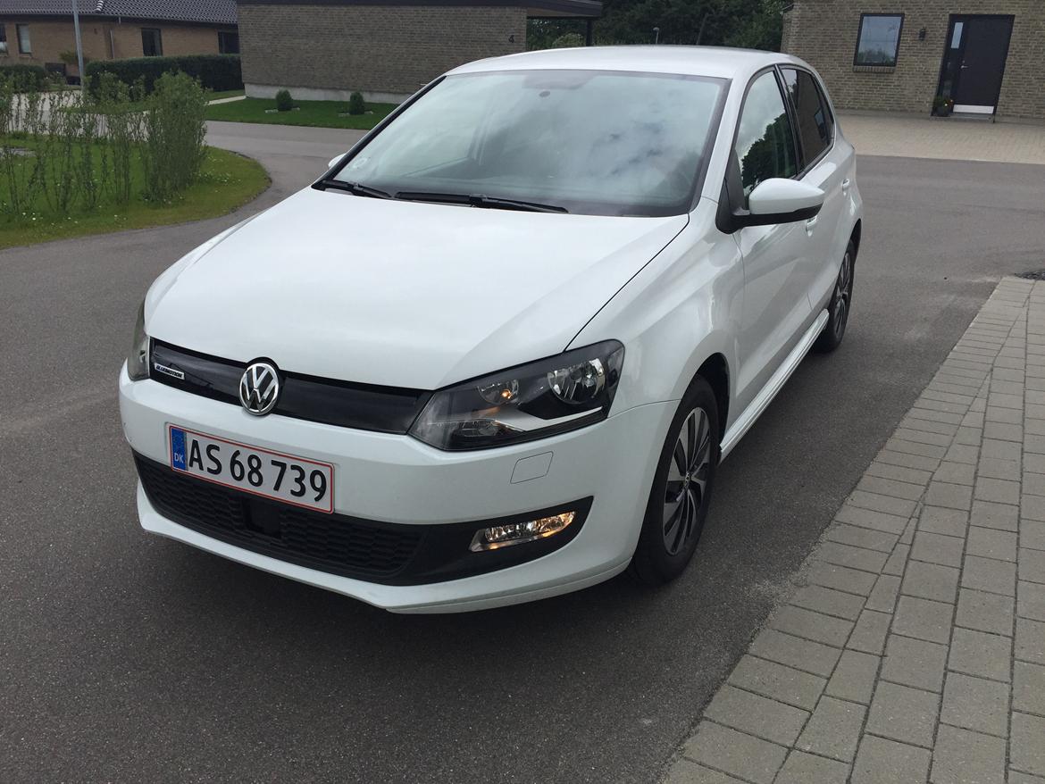 VW Polo Bluemotion billede 1