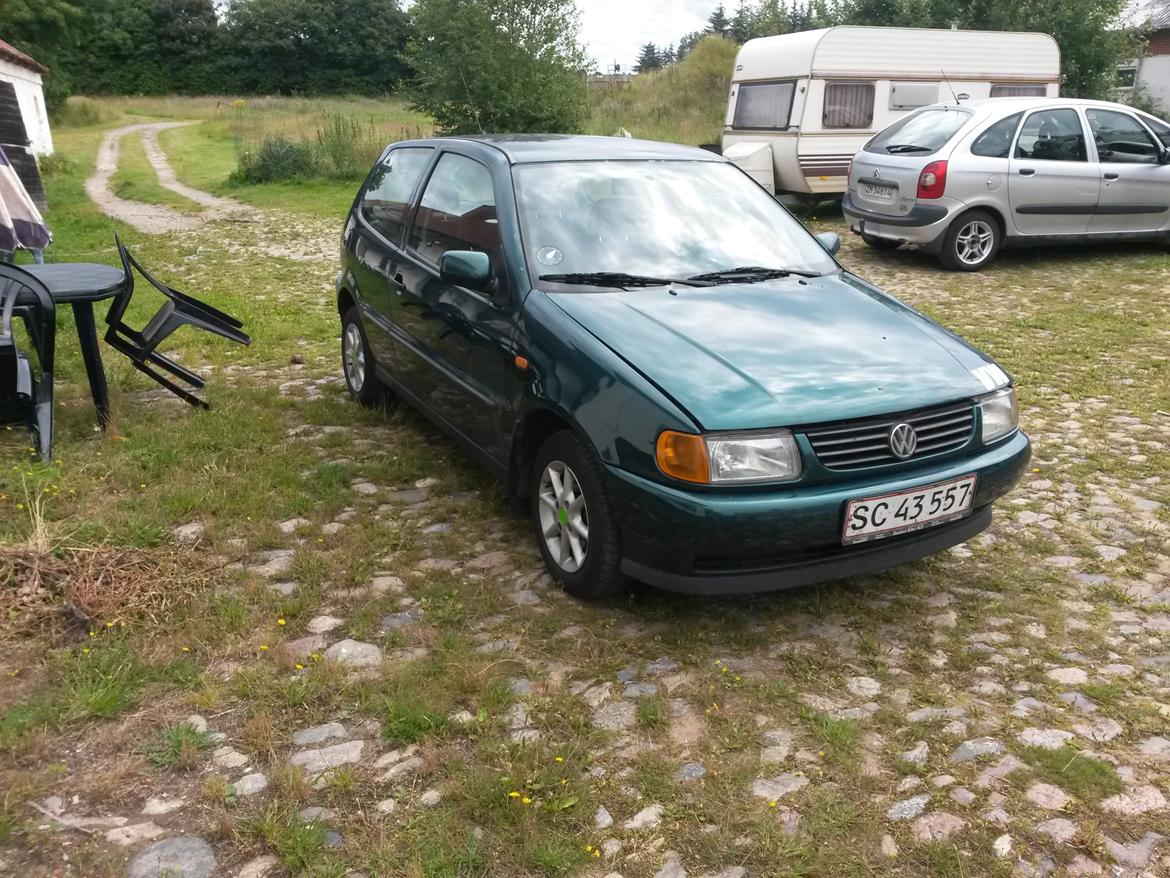 VW polo 6n1 billede 2