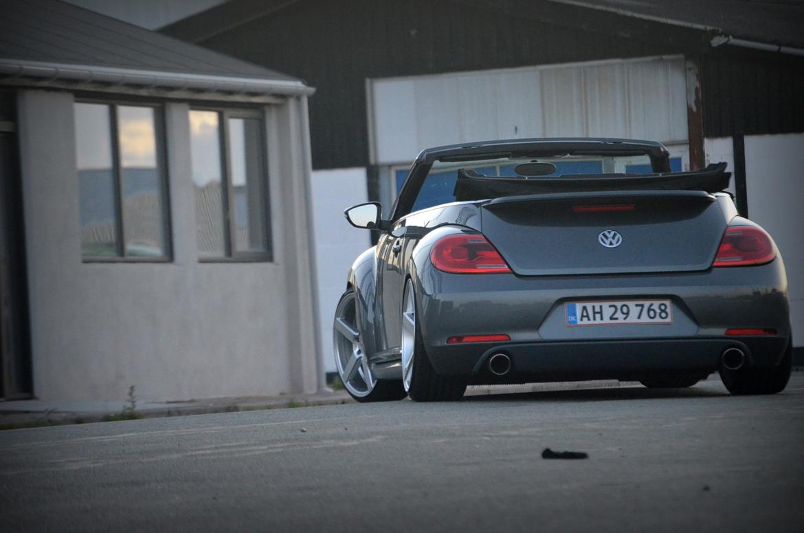 VW The Beetle billede 11