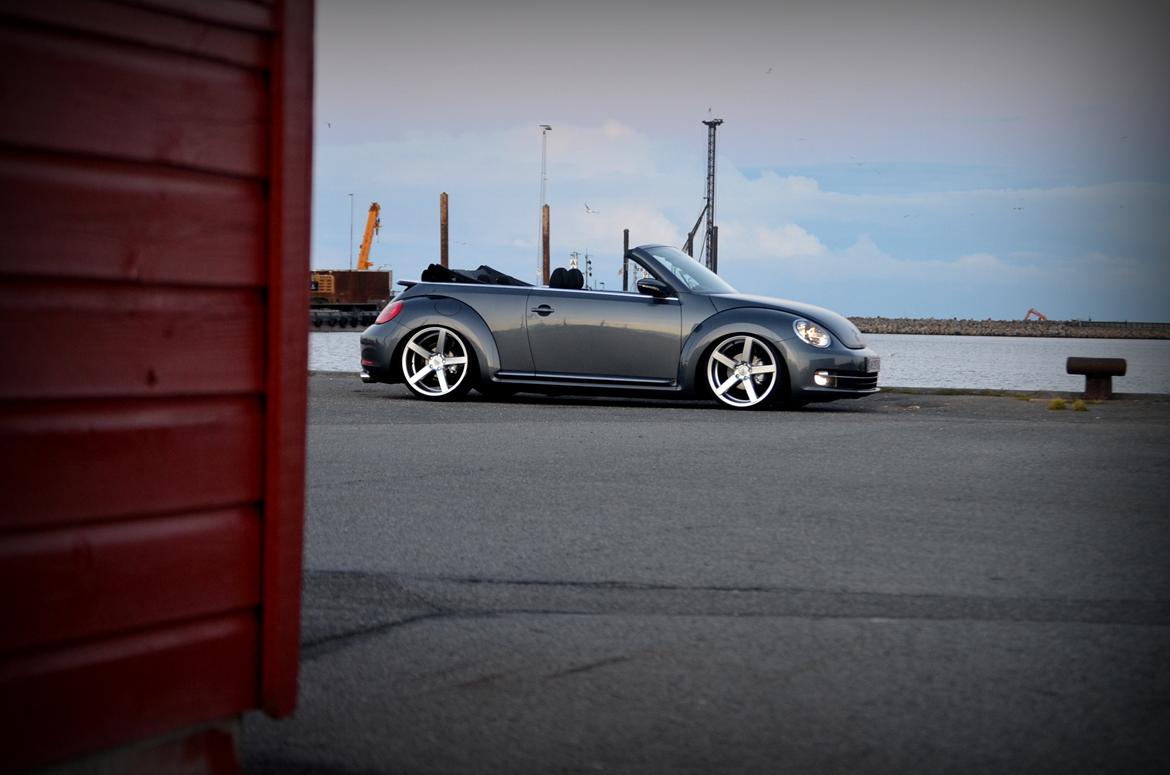 VW The Beetle billede 13