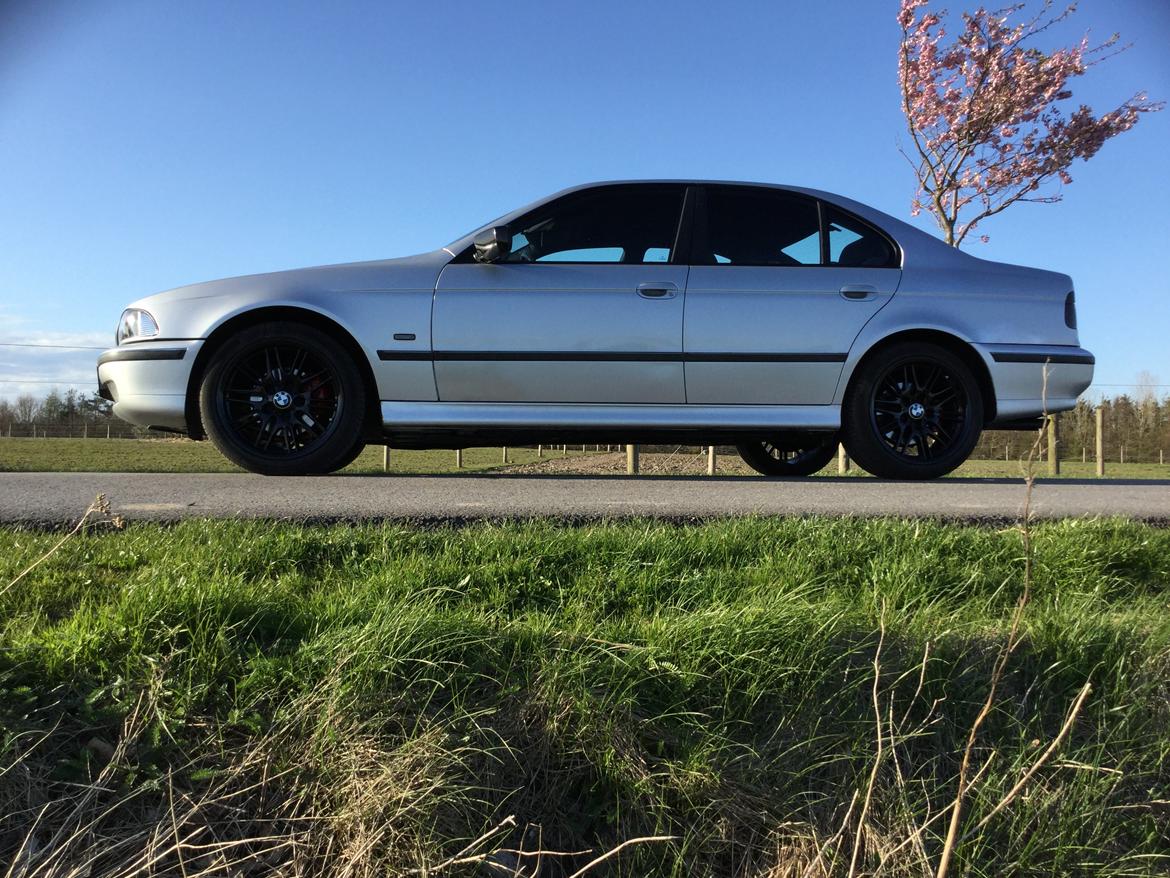 BMW 523i E39 billede 15