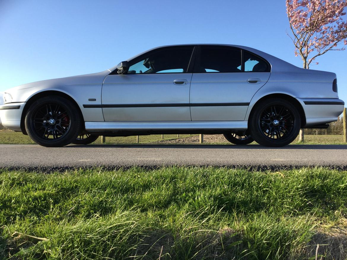 BMW 523i E39 billede 2