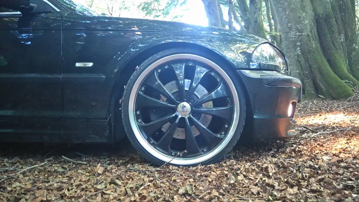 BMW E46 330 D billede 10