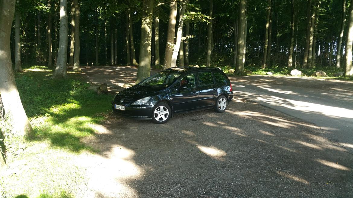 Peugeot 307 SW 7 sæders billede 1