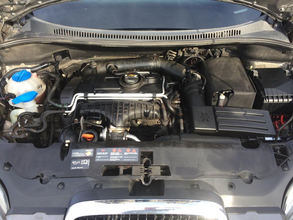 Seat Altea billede 8