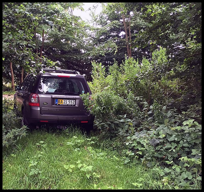 Land Rover Freelander 2 Td4 S billede 8