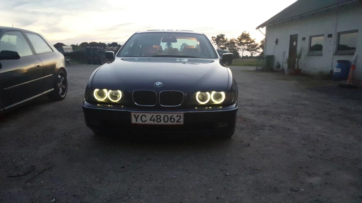 BMW 523i billede 2