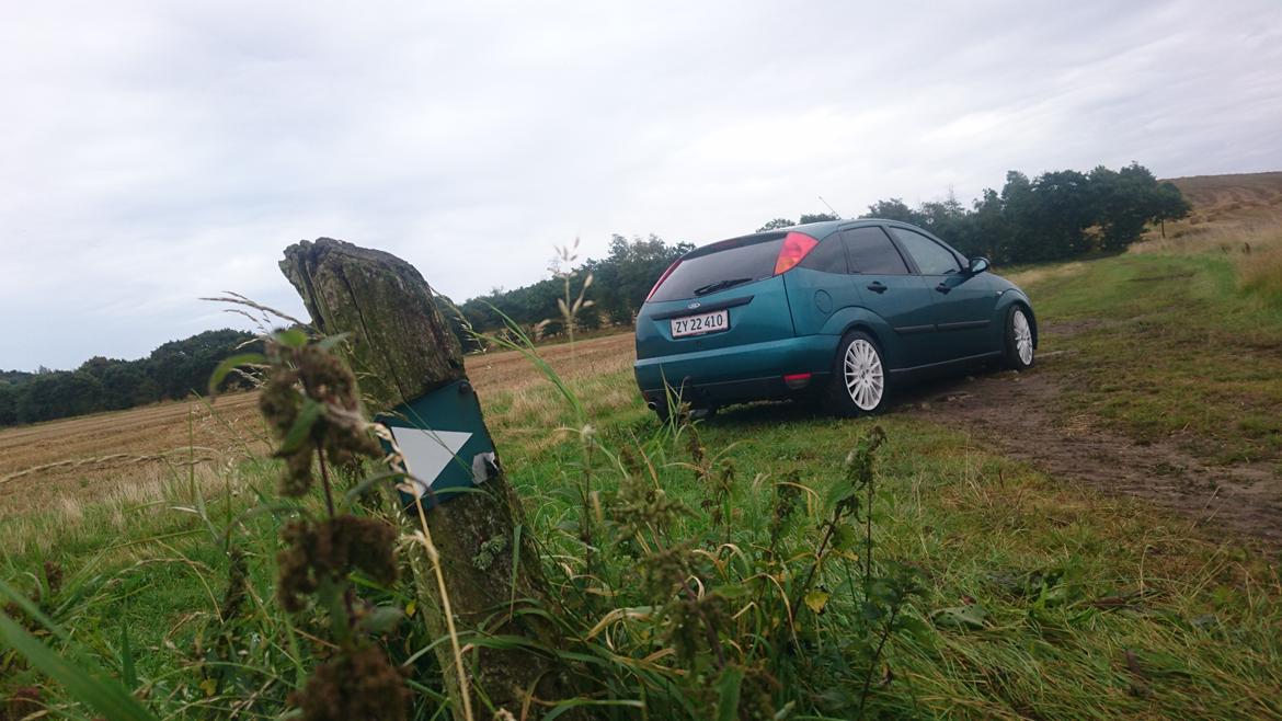 Ford Focus 2.0 Zetec billede 4