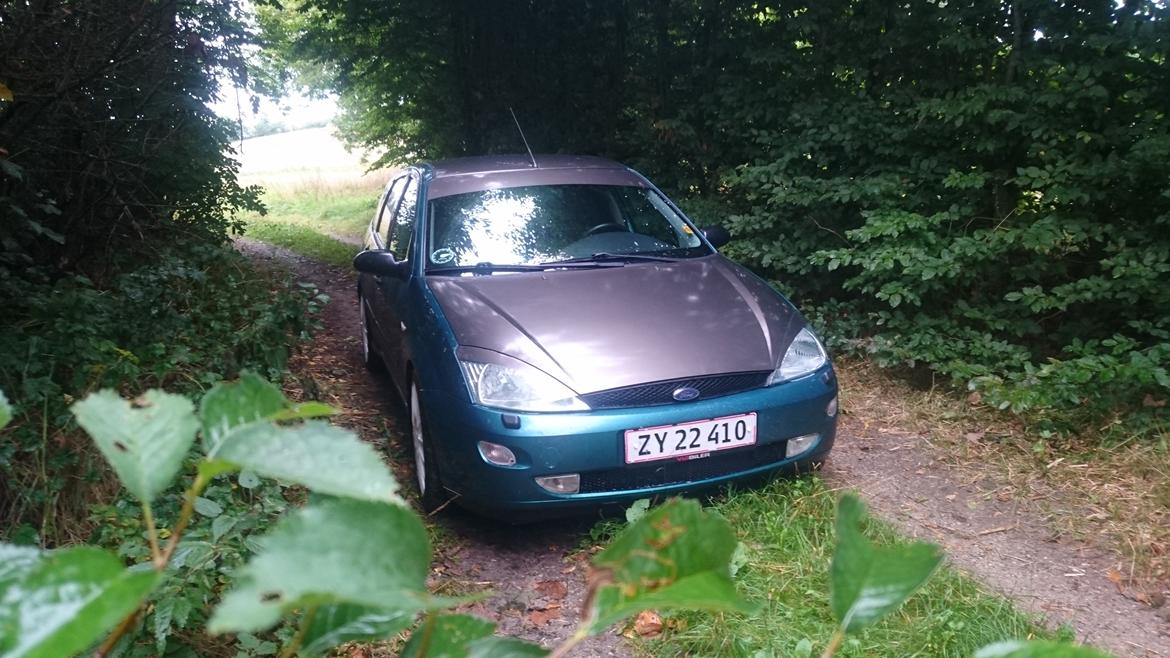 Ford Focus 2.0 Zetec billede 10