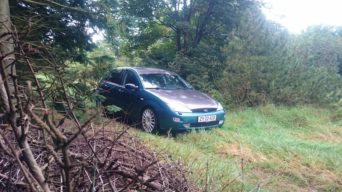 Ford Focus 2.0 Zetec billede 12