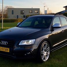 Audi SQ5 3.0 TDI 313 HK quattro Tipt.