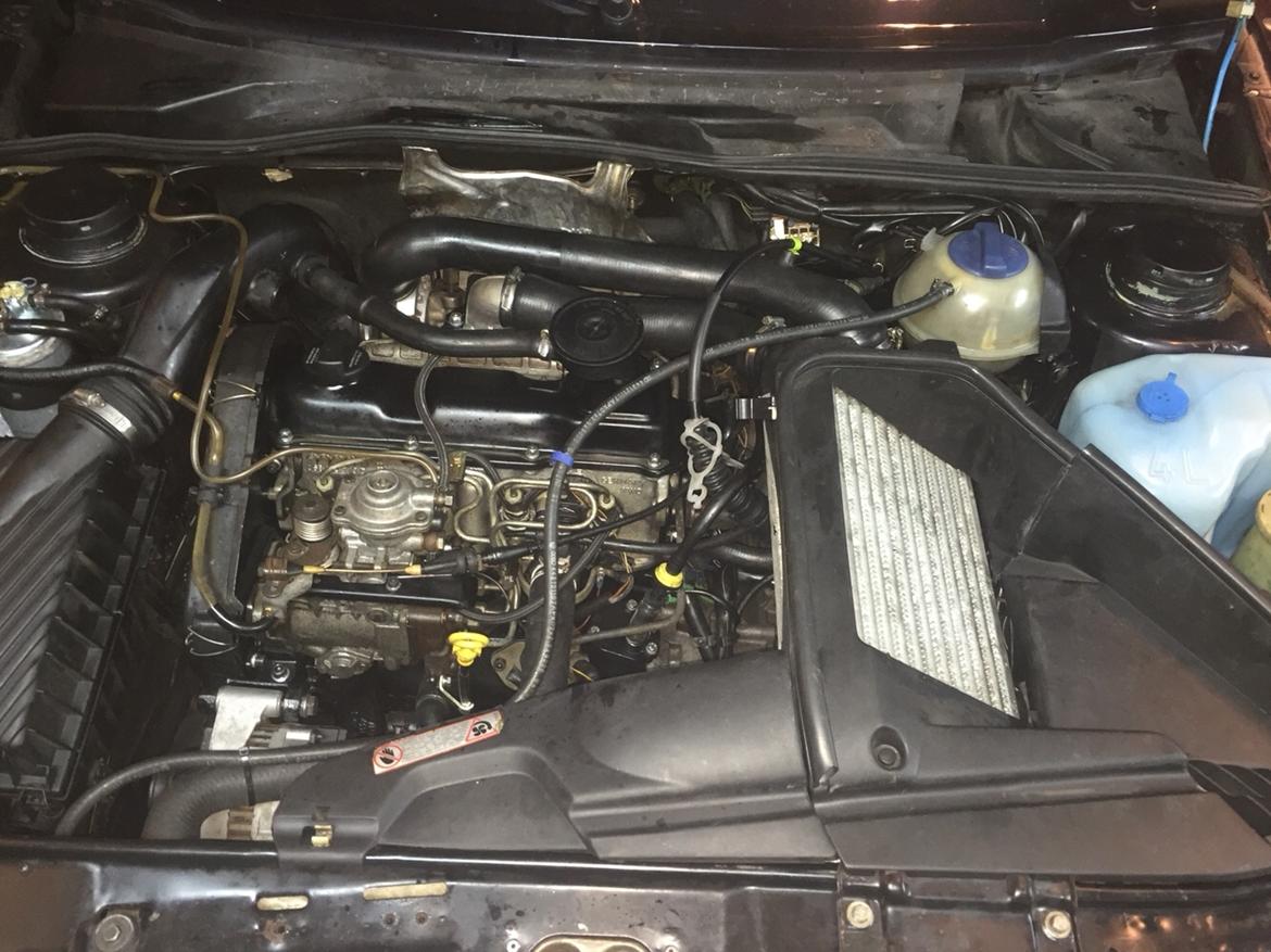 VW Golf 2 GTD Fire and Ice SOLGT 14-03-2020 billede 14