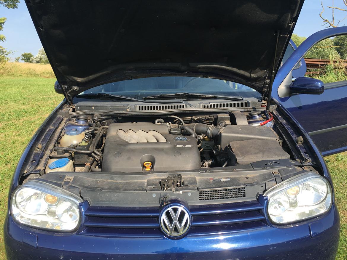 VW Golf 4 billede 13