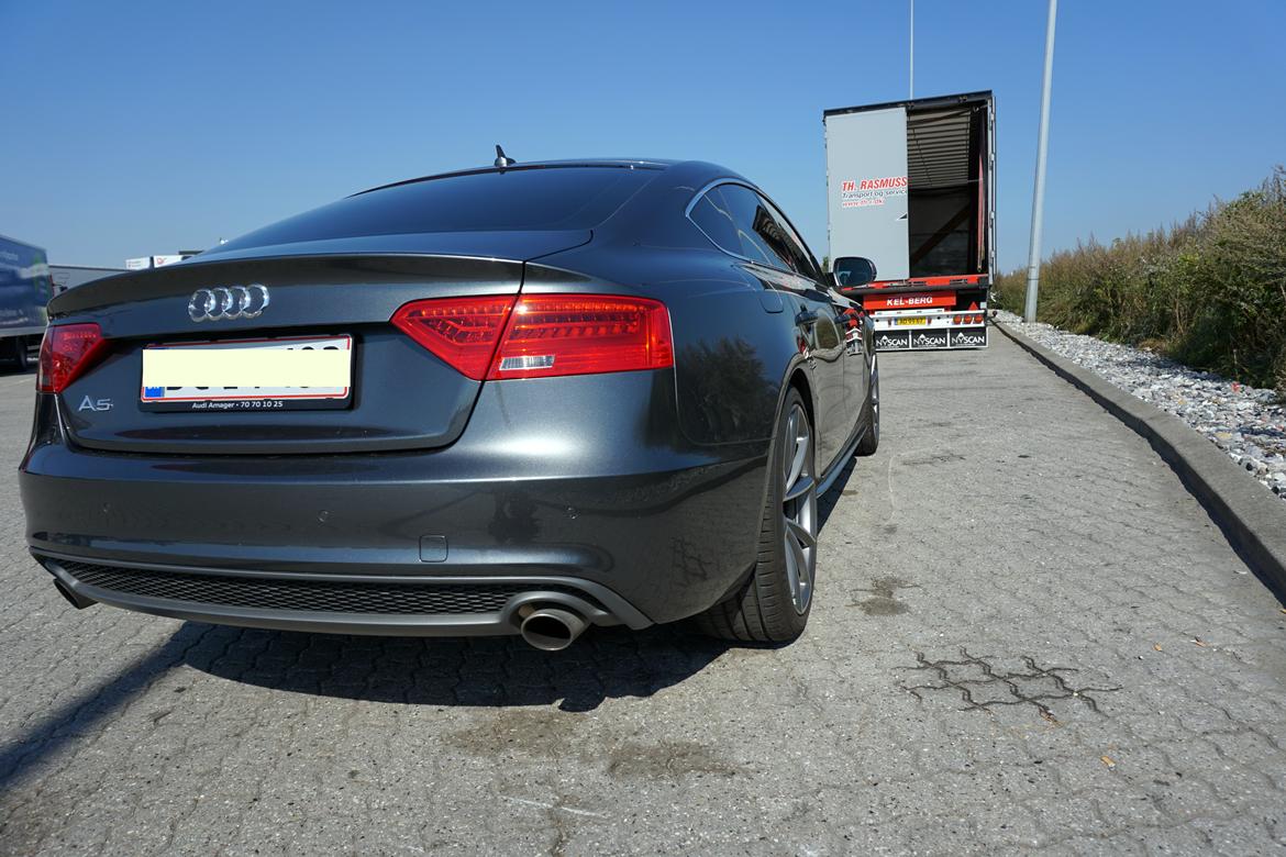 Audi A5 Limited Edition billede 8