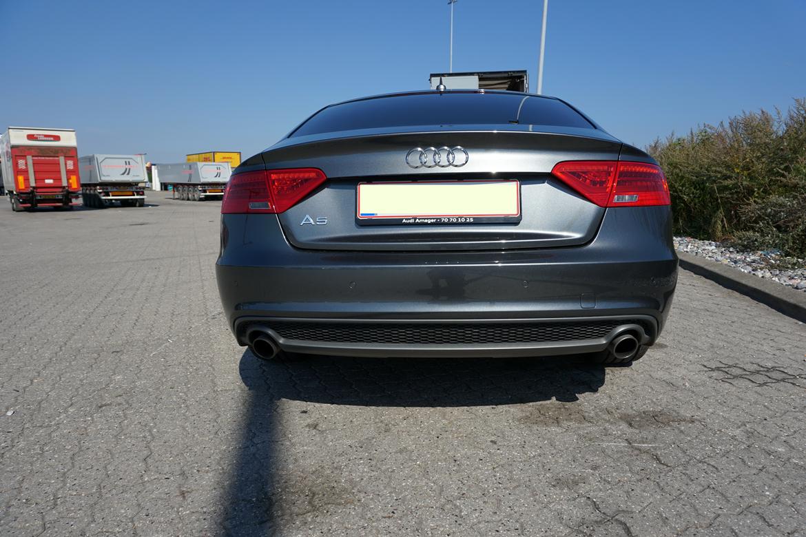 Audi A5 Limited Edition billede 9