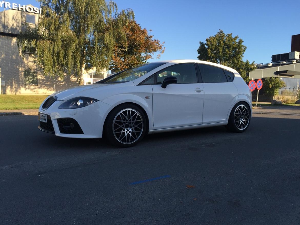 Seat Leon cupra billede 1