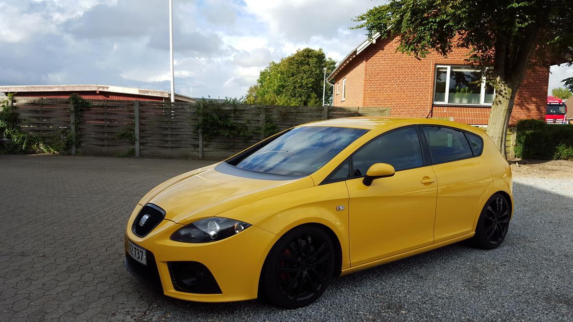 Seat Leon Cupra  billede 1