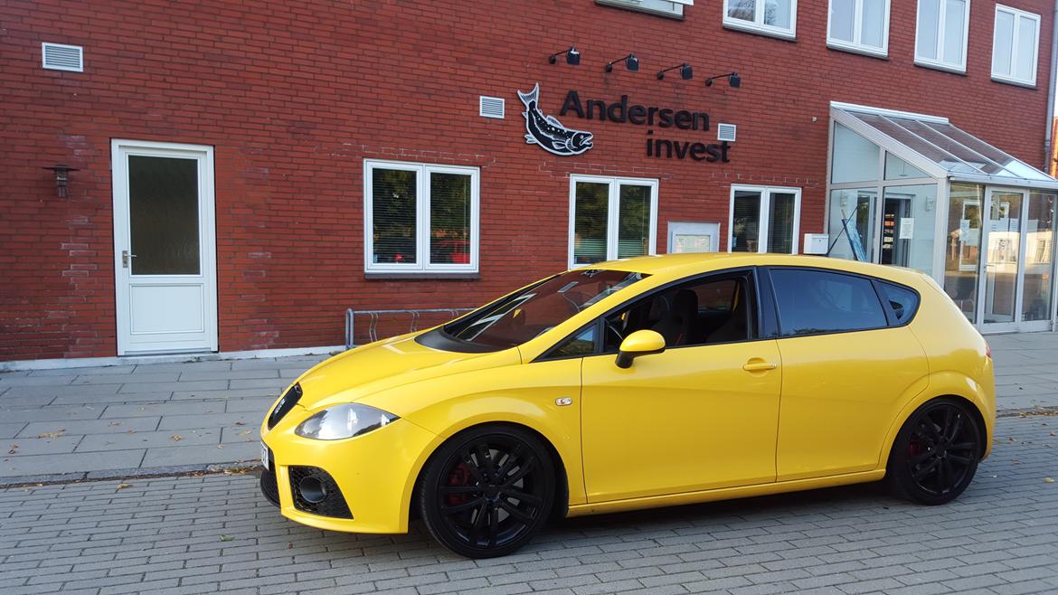 Seat Leon Cupra  billede 2