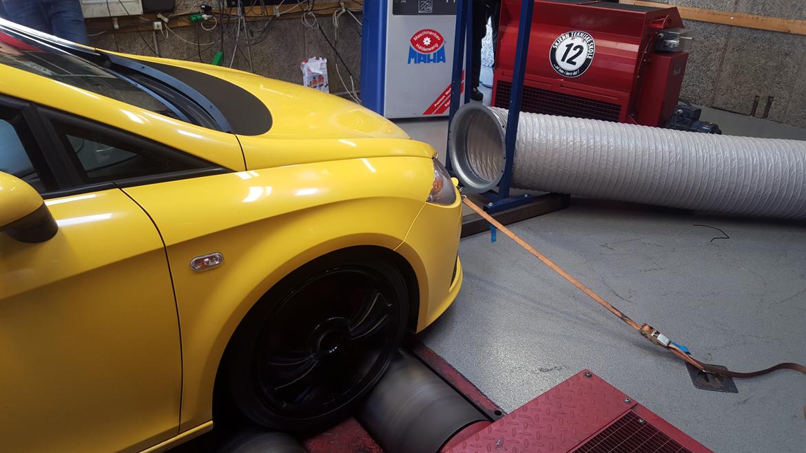 Seat Leon Cupra  billede 5