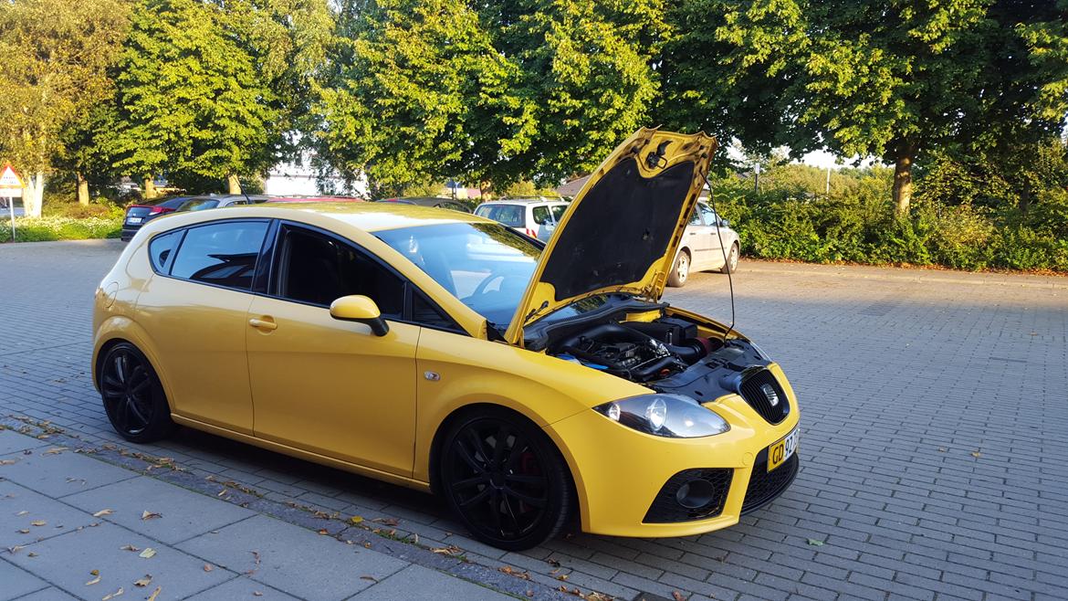 Seat Leon Cupra  billede 6