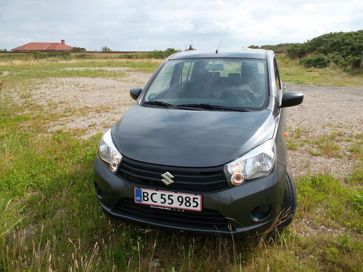 Suzuki Celerio billede 1