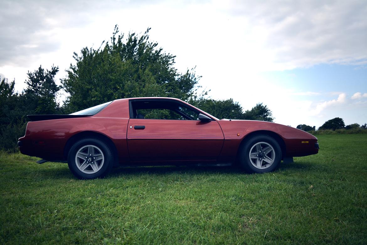 Pontiac Firebird  billede 6