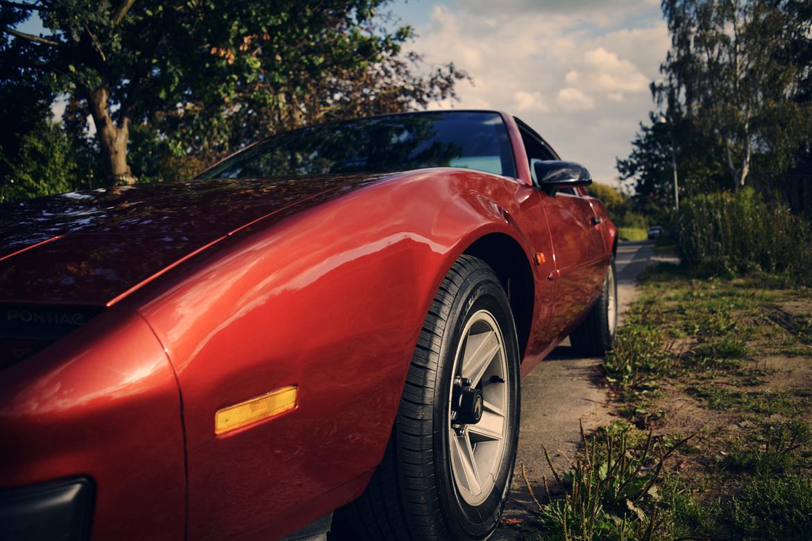 Pontiac Firebird  billede 14