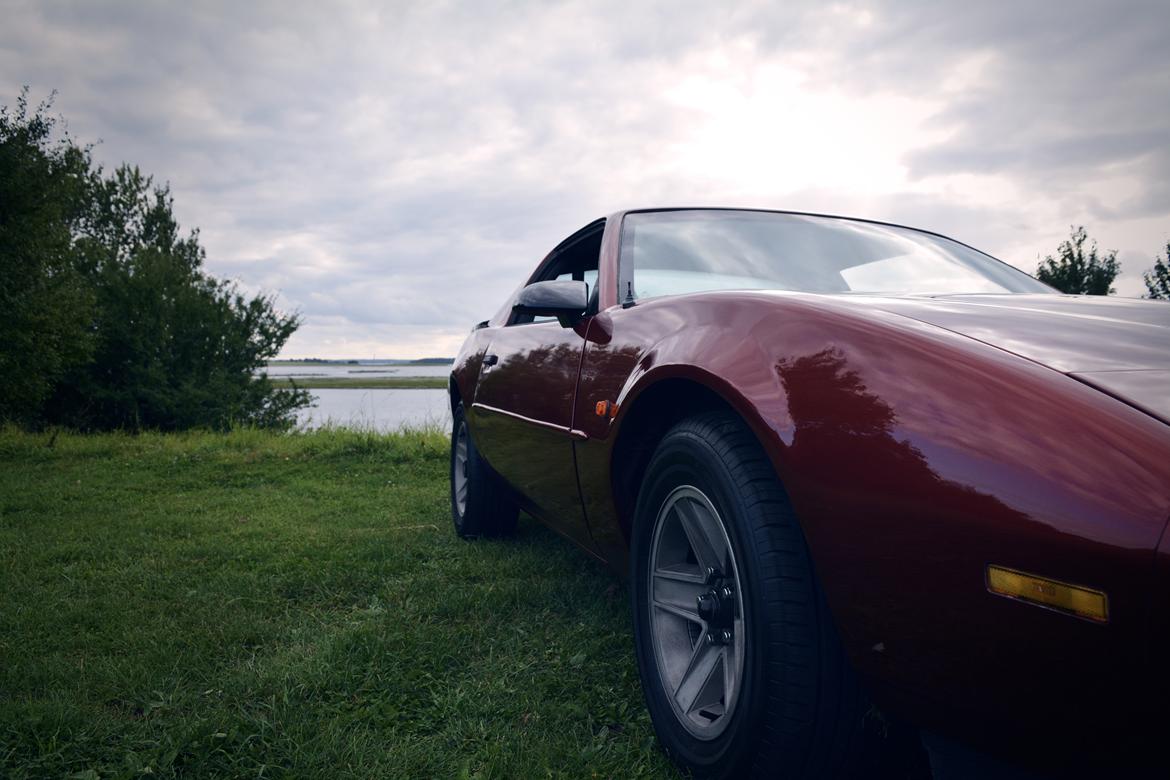 Pontiac Firebird  billede 4