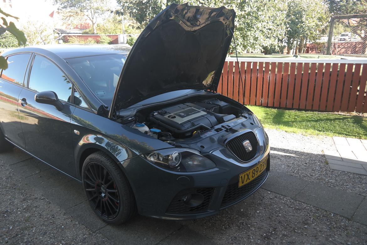 Seat Leon Cupra billede 29