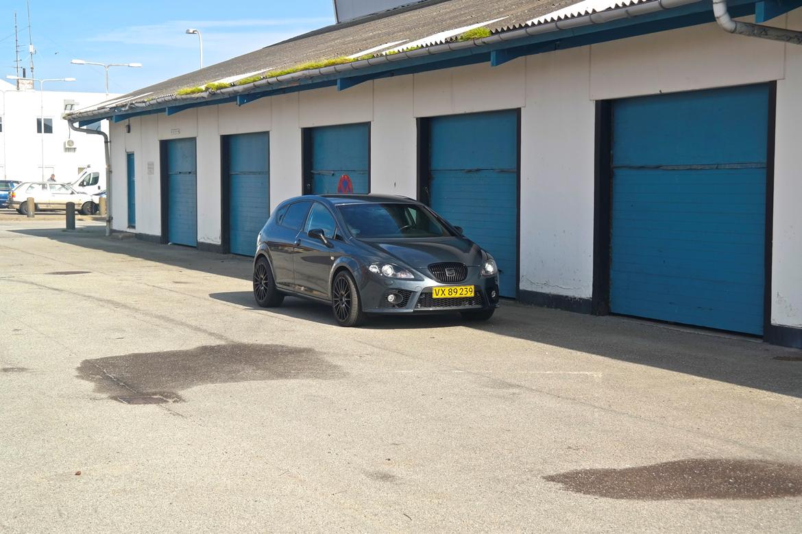 Seat Leon Cupra billede 5