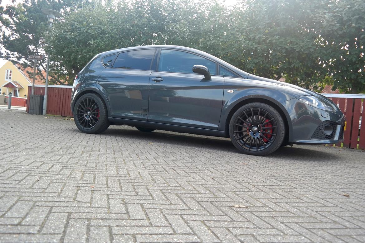 Seat Leon Cupra billede 8