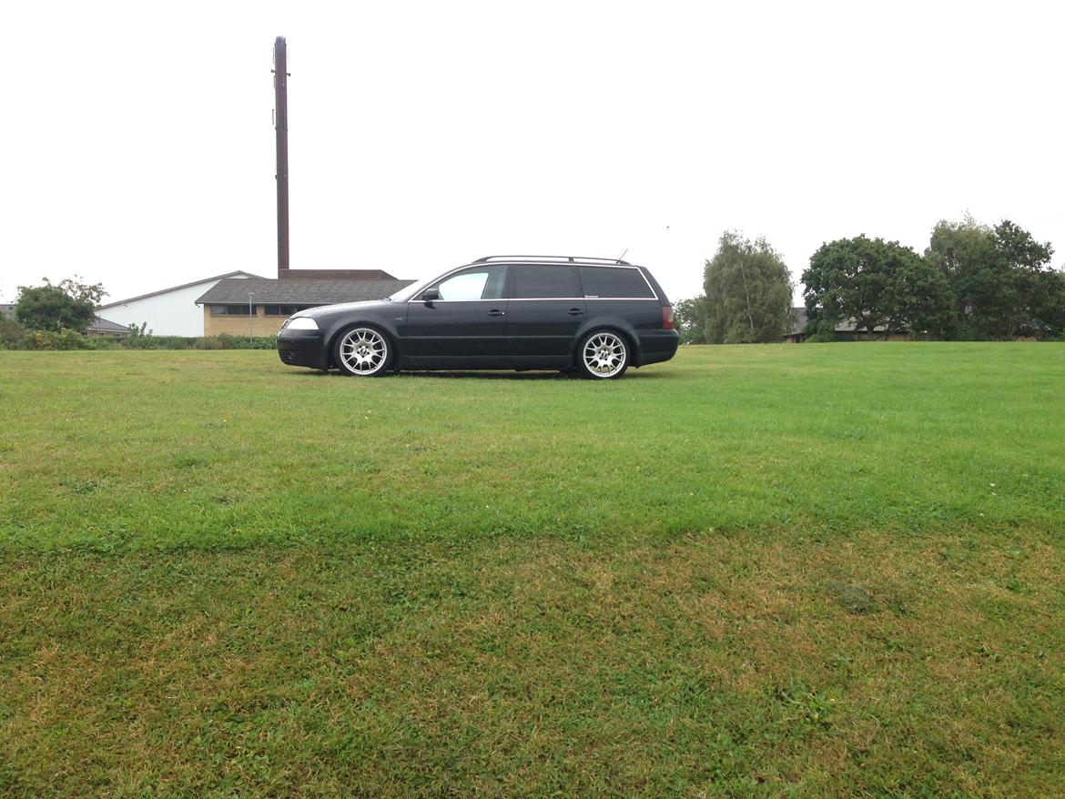 VW Passat 3BG  billede 6