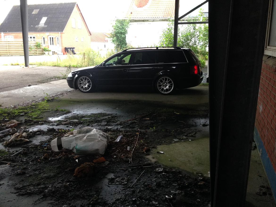 VW Passat 3BG  billede 10