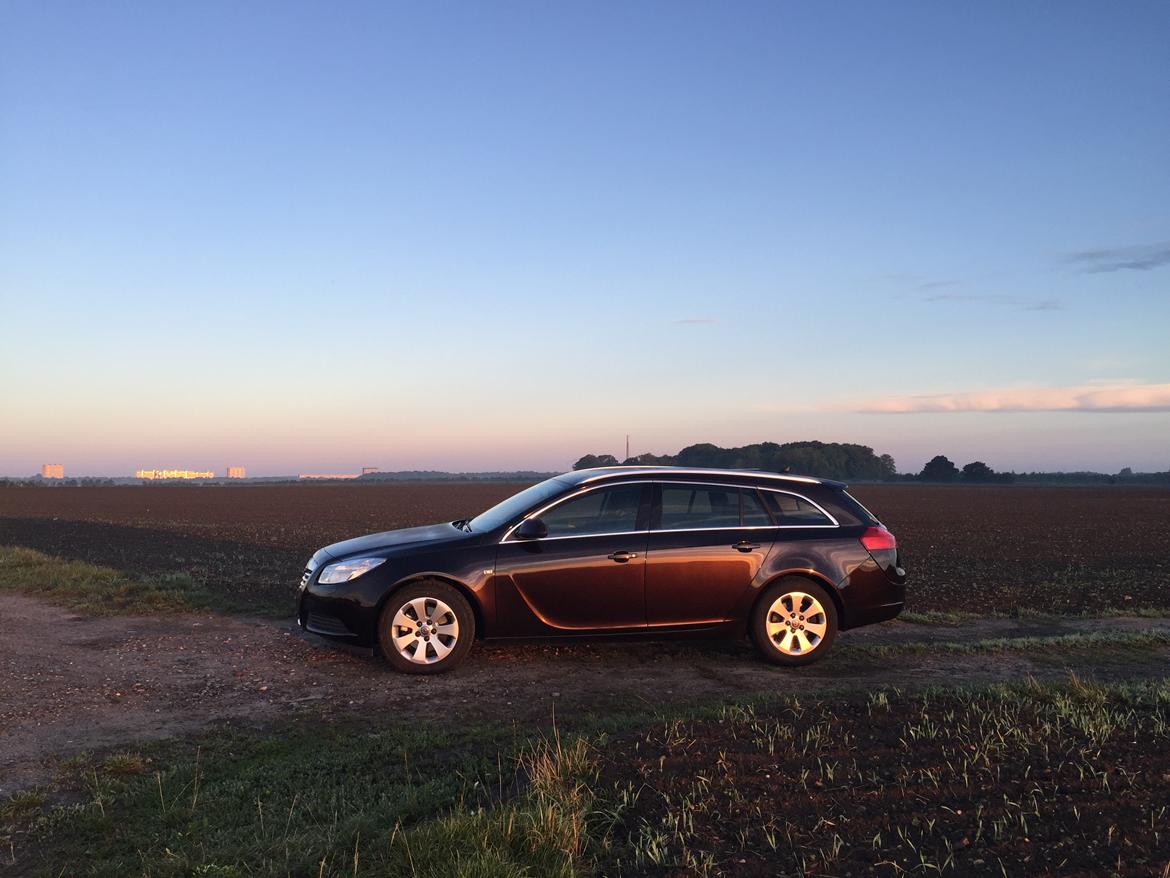 Opel Insignia 2.0 CDTi 160 Cosmo ST eco. billede 7