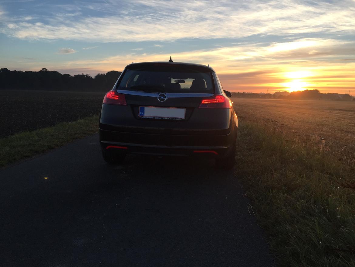Opel Insignia 2.0 CDTi 160 Cosmo ST eco. billede 6