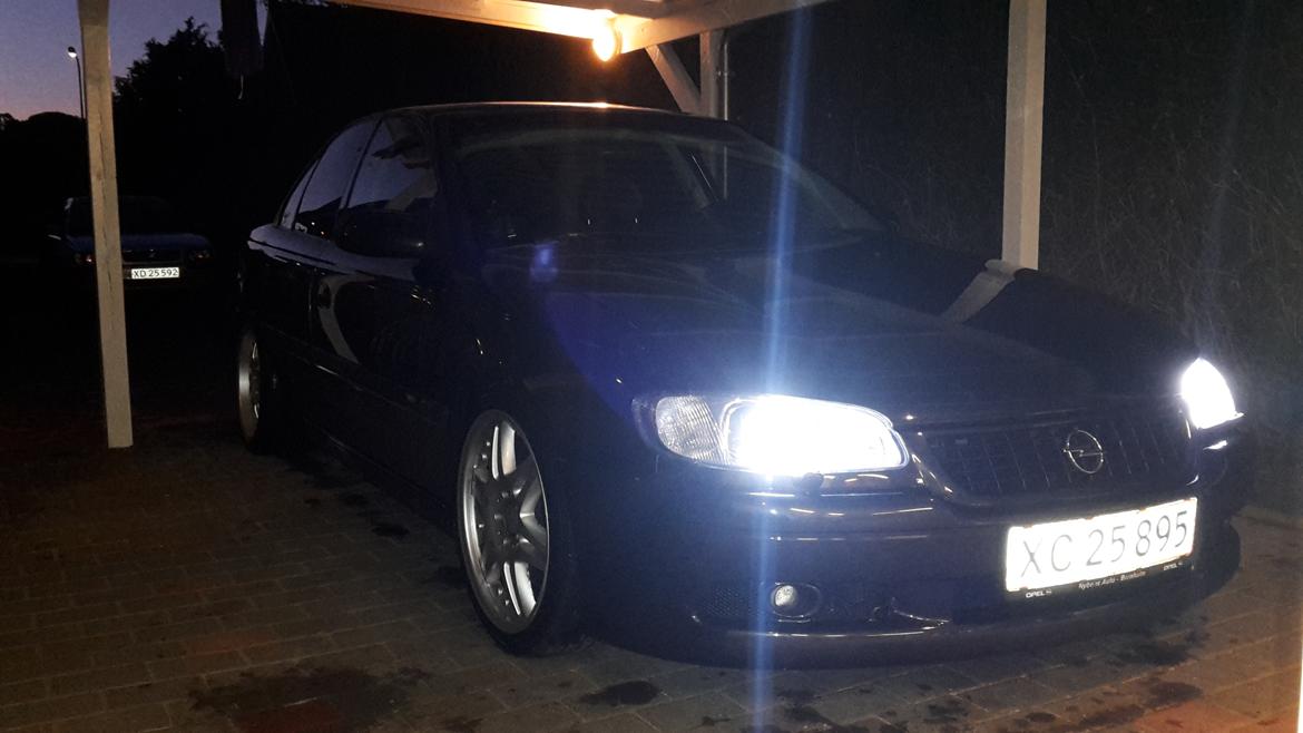 Opel omega mv6 billede 5