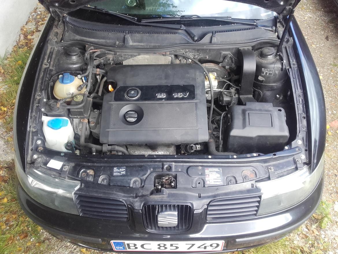 Seat Leon sport billede 8