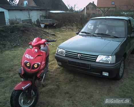 Peugeot 205 Roland Garros. Cab. - 206 og 205 billede 11