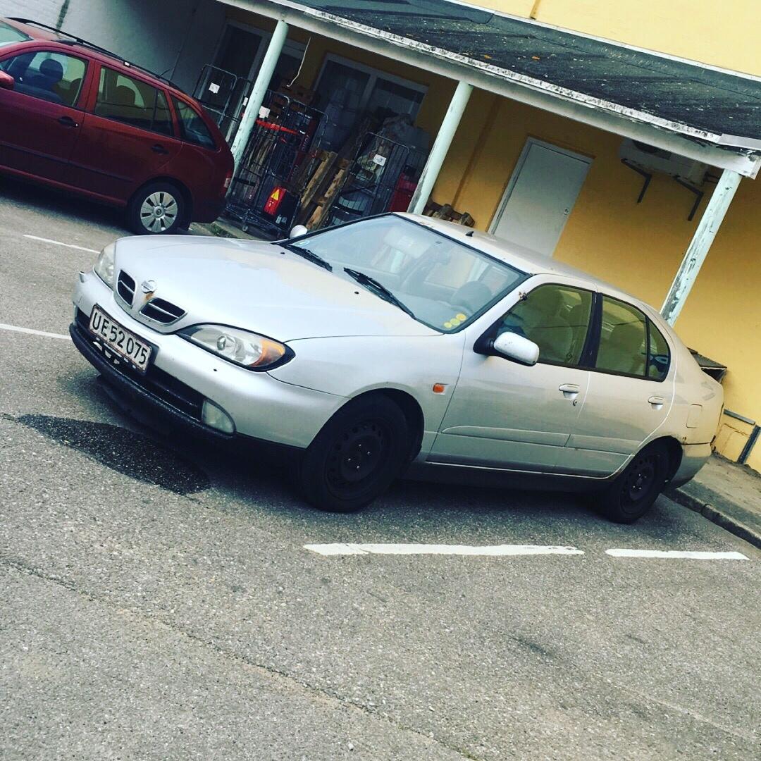 Nissan Primera billede 1
